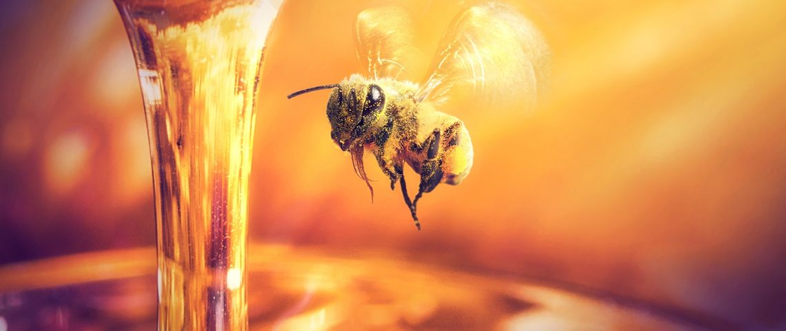 Los secretos de la miel que la hacen muy resistente a las bacterias