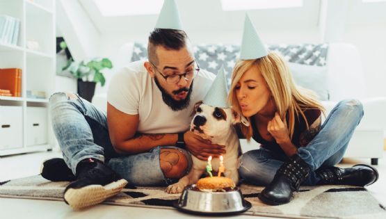 Expertos sostienen que tratar a las mascotas como hijos tiene efectos negativos en los animales