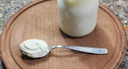 Aprende hacer yogur griego casero con solo 2 ingredientes