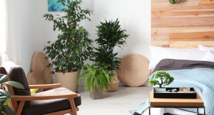 Las cosas que se deben evitar en el hogar para atraer buena energía segun el Feng Shui,