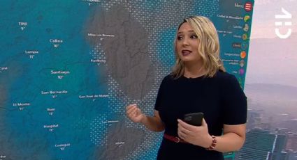 Allison Göhler hace una contundente declaración sobre la inseguridad en Chile