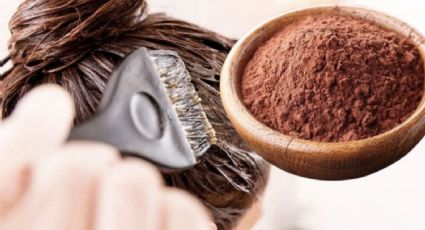El truco casero con cacao que cubre las canas sin tintes ni químicos agresivos