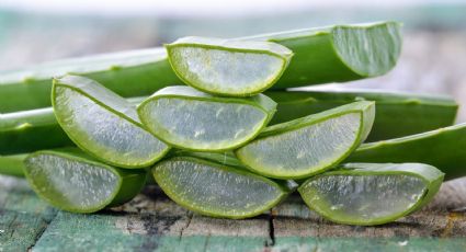 El secreto del aloe vera para mantener la piel joven, firme y luminosa que seguro no conocías