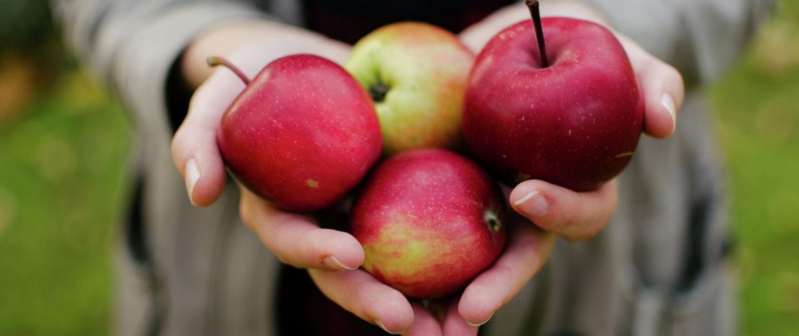 Conoce los beneficios de incorporar una manzana en tu alimentación habitual