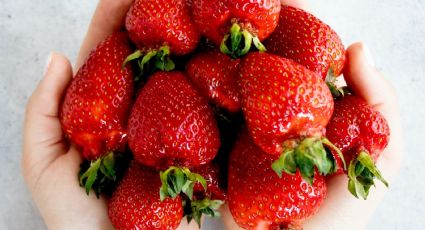 El secreto casero para unas frutillas limpias y seguras