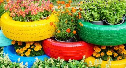 El material reciclado que puede traer grandes beneficios al jardín del hogar