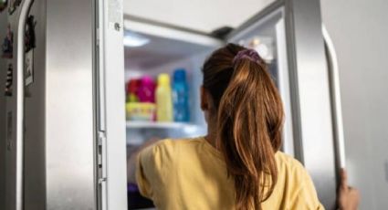 Heladera sin olores: el truco casero que arrasa por su efectividad y sencillez