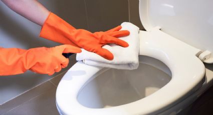 Inodoro impecable: el truco casero que borra manchas y sarro en minutos