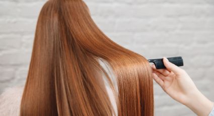 Cabello fuerte y saludable: cómo evitar la caída de manera natural y económica