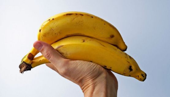 Investigadores revelan el impacto de la banana en la salud intestinal