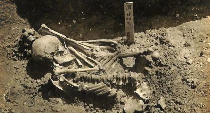 Hallaron a la primera víctima fatal de un ataque de tiburón: ocurrió hace 3000 años