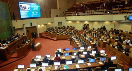 Convención Constitucional: "Si algún pueblo originario quiere hacer un acto, no hay ningún problema"