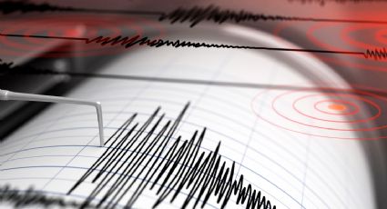 Un sismo fue percibido en la zona central de Chile