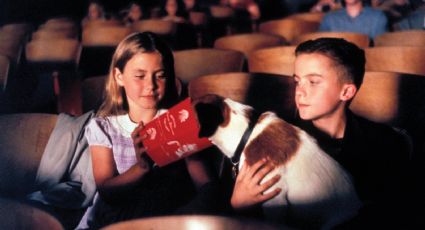 Cinco películas para los amantes de los animales