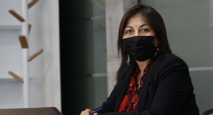 Elisa Loncón reveló quién será el reemplazo de Rodrigo Rojas Vade en la Convención