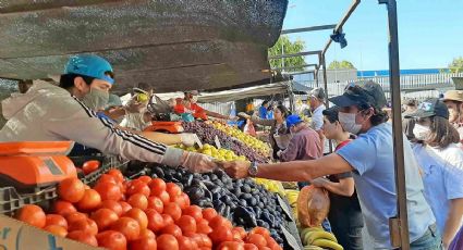 Bono Alivio para Pymes: estos son los requisitos para los feriantes