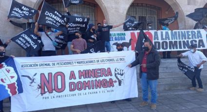 Proyecto minero Dominga: cientos de manifestantes salieron a las calles