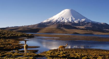 5 reservas de la biósfera en Chile que preservan la biodiversidad y el ambiente