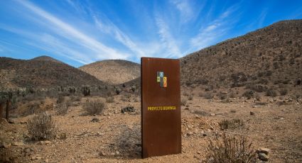 Proyecto Dominga: Senadores presentarán recurso de protección