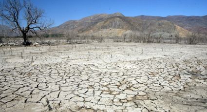 Sequías: así es cómo la crisis climática afecta a Chile