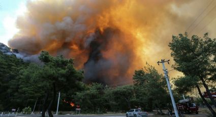 Incendios forestales en Villarrica: autoridades actualizan la situación de la región