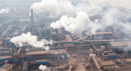 Cambio climático: Alemania impulsa una importante iniciativa para combatir el fenómeno