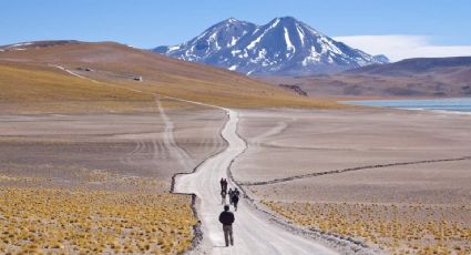 Desierto de Atacama: este es el fenómeno que aparece cuando hay lluvias fuertes