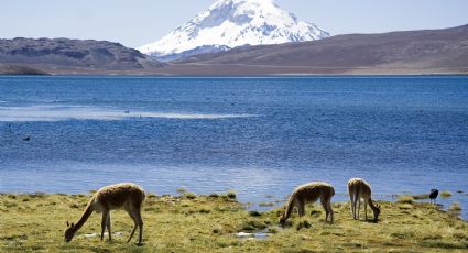 Turismo: ¿qué parques nacionales se pueden visitar?