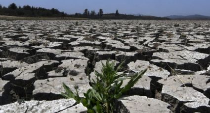 Sequía: el presidente Piñera anunció emergencia agrícola en estas regiones