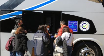 Seremi de Salud de Maule en busca de un pasajero de bus positivo de COVID