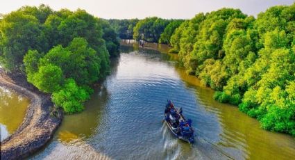 Impactante foto de un cocodrilo en Cuba gana el Mangrove Photography 2022