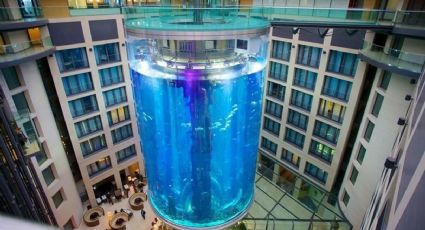 Revienta el AquaDom de Berlín, el acuario cilíndrico más grande del mundo