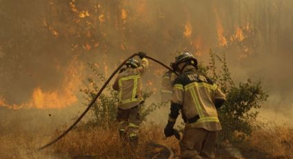 Incendios Forestales: el Senapred anunció la Alerta Roja en Valparaíso