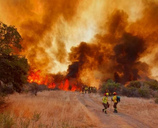 Incendios forestales en Valparaíso: una grave acusación contra el Gobierno sacude al Congreso