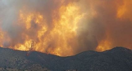 Balance Onemi: tres incendios forestales activos preocupan a la Región Metropolitana