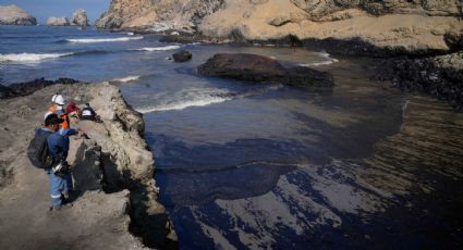 Perú denuncia ante OEA daño ambiental por derrame de petróleo de Repsol