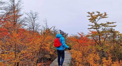 Llegó el otoño ¿Qué actividades hacer en esta época?