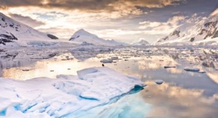 Antártida: científicos de la NASA alertan pérdida acelerada de plataformas y hielos