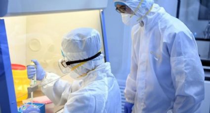 China detecta 35 casos en humanos de un nuevo virus de origen animal