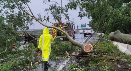 Huracán Beryl alcanza categoría 5 y amenaza con devastar a República Dominicana