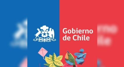 Caídas de los sitios web del Gobierno de Chile: ¿Cuáles fueron los motivos?