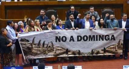 Diputados del oficialismo piden rechazar el proyecto minero Dominga