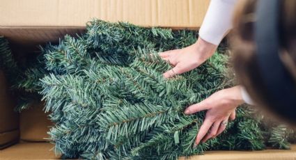 El momento ideal para desarmar el árbol de Navidad para atraer a la buena suerte