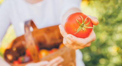 7 razones para consumir alimentos orgánicos