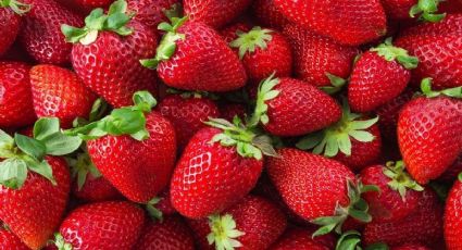 Los principales beneficios de comer fresas