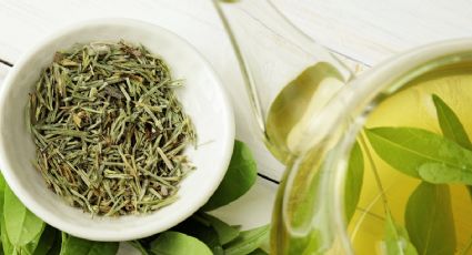 Descubre la infusión que rejuvenece y a la vez potencia tu memoria al máximo