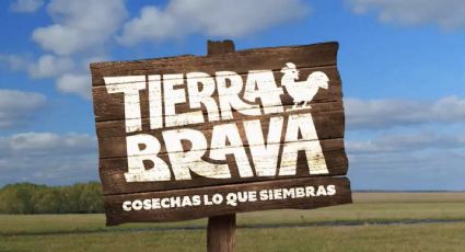 Destapan la nueva pareja que se formó en "Tierra Brava"