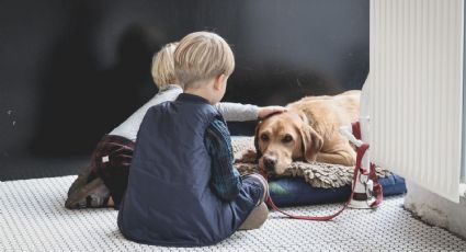 Las 3 razas de perros ideales para familias con niños pequeños
