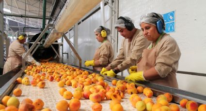 Atención: compañía alimenticia lanza oferta laboral para cubrir dos mil puestos