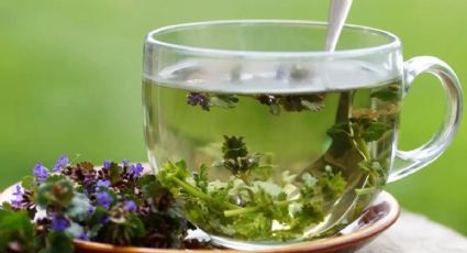 7 hierbas relajantes que ayudan a controlar el estrés y la ansiedad